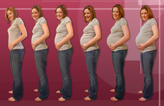 Лучшие видео о внутриутробной жизни