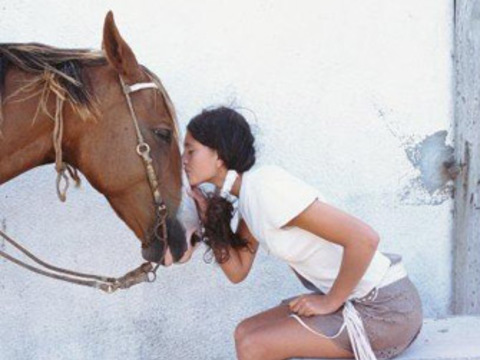 Конь унес любимого