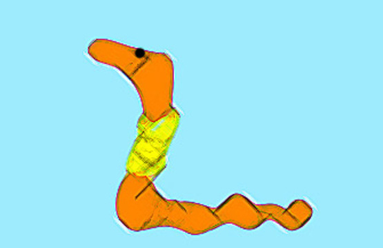 Девять заблуждений о паразитах