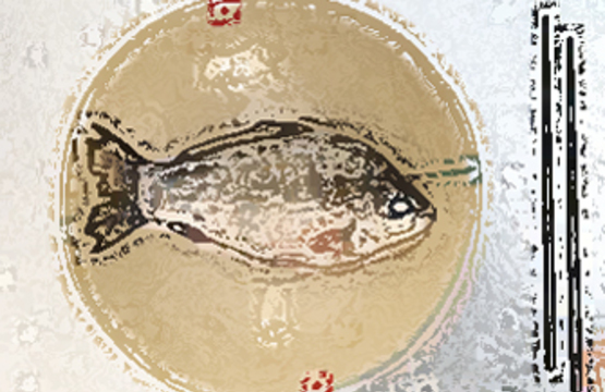 Молекулярная еда: шоу химиков