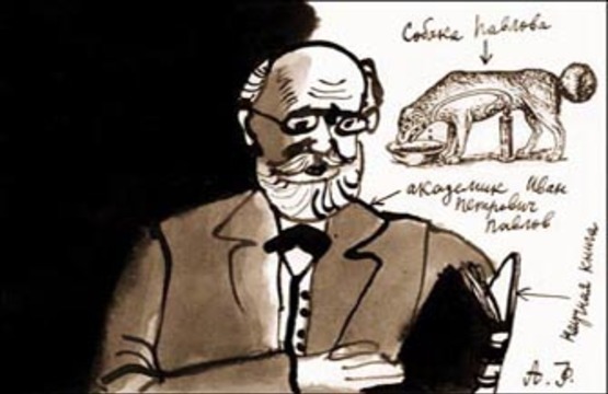 По следам собаки Павлова