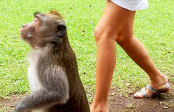 Не хамите, парниша!